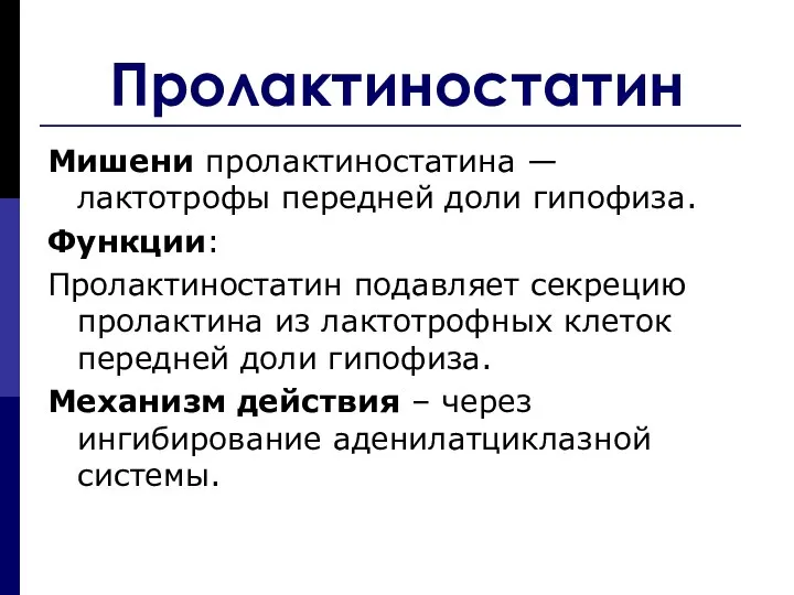 Пролактиностатин Мишени пролактиностатина — лактотрофы передней доли гипофиза. Функции: Пролактиностатин подавляет