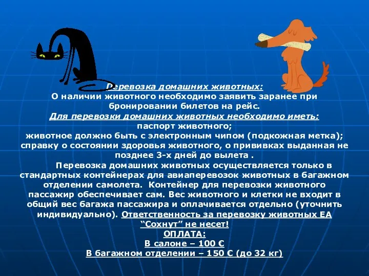 Перевозка домашних животных: О наличии животного необходимо заявить заранее при бронировании