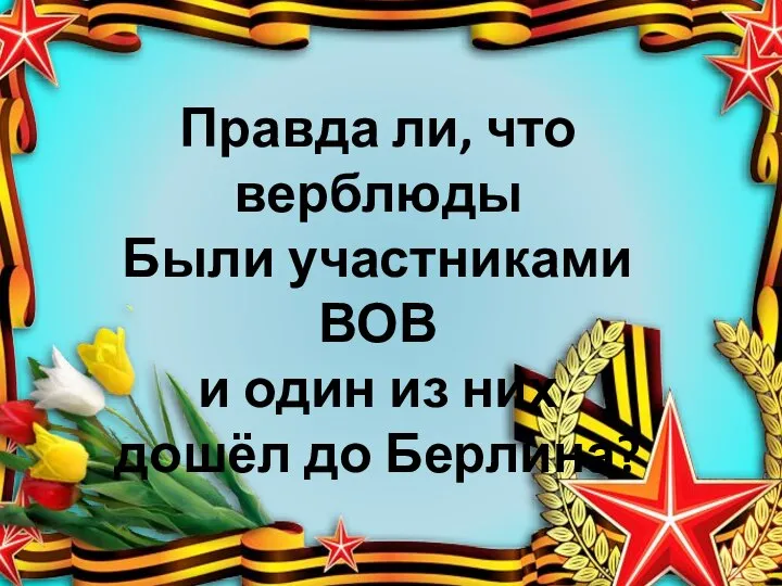 Правда ли, что верблюды Были участниками ВОВ и один из них дошёл до Берлина?