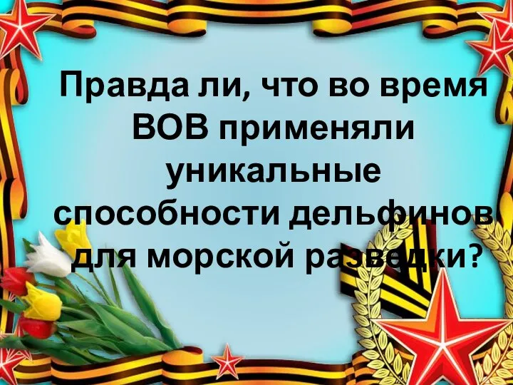 Правда ли, что во время ВОВ применяли уникальные способности дельфинов для морской разведки?