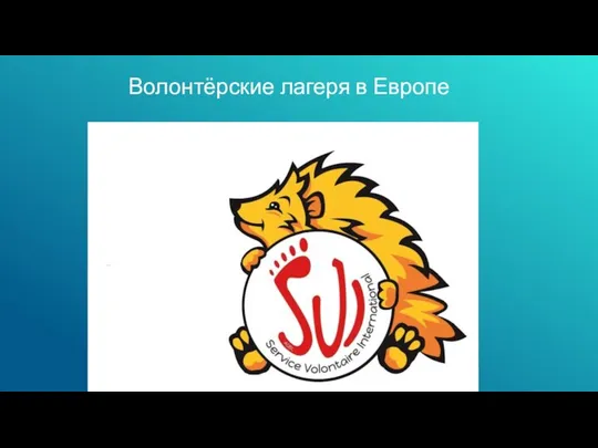 Волонтёрские лагеря в Европе