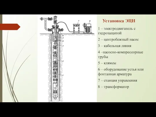 Установка ЭЦН 1 – электродвигатель с гидрозащитой 2 – центробежный насос