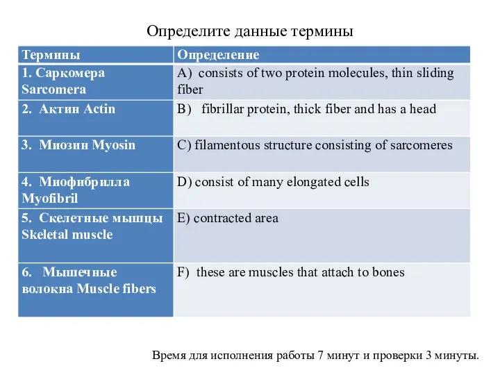 Определите данные термины Время для исполнения работы 7 минут и проверки 3 минуты.