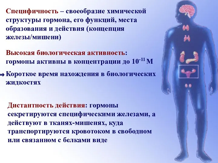 Специфичность – своеобразие химической структуры гормона, его функций, места образования и