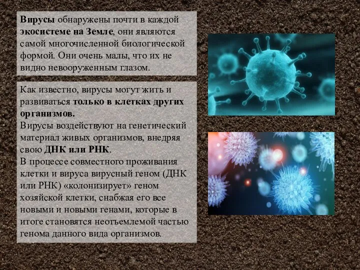 Вирусы обнаружены почти в каждой экосистеме на Земле, они являются самой