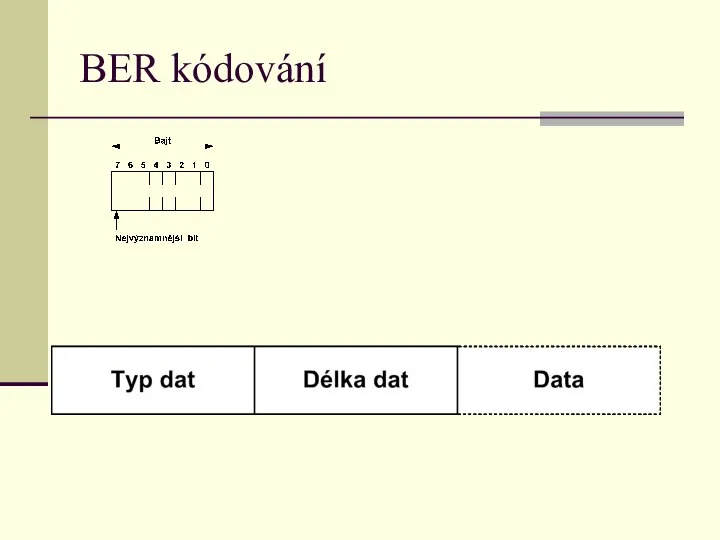 BER kódování