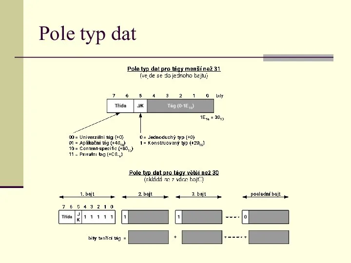 Pole typ dat