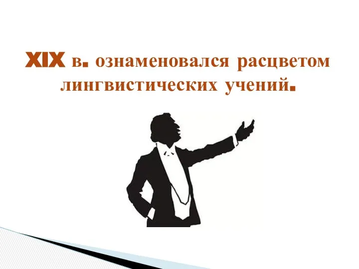 XIX в. ознаменовался расцветом лингвистических учений.