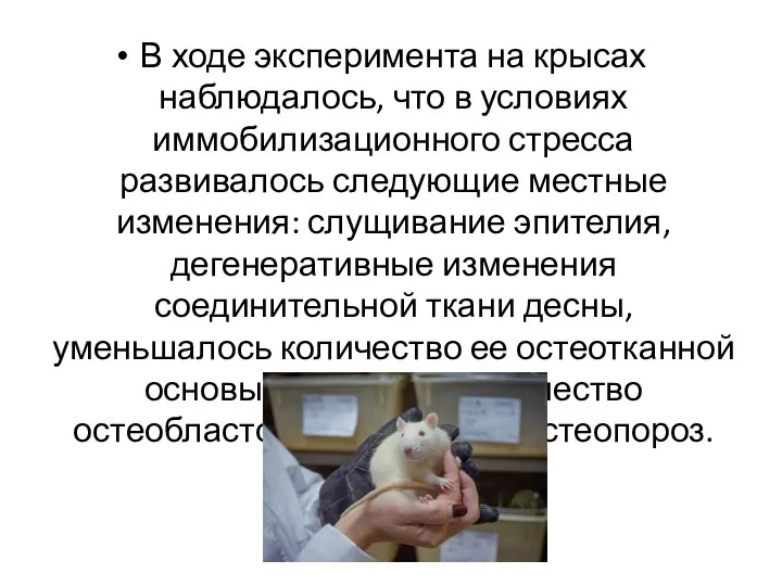 В ходе эксперимента на крысах наблюдалось, что в условиях иммобилизационного стресса