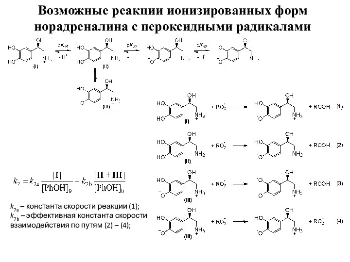 Возможные реакции ионизированных форм норадреналина с пероксидными радикалами k7a – константа