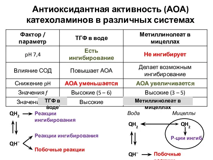 Антиоксидантная активность (АОА) катехоламинов в различных системах QH2 Р-ции ингиб. Мицеллы