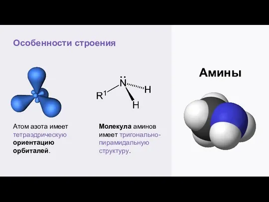 Особенности строения Амины Атом азота имеет тетраэдрическую ориентацию орбиталей. Молекула аминов имеет тригонально-пирамидальную структуру.