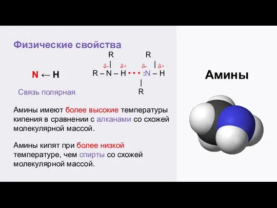 Физические свойства Амины N ← H Связь полярная R R |