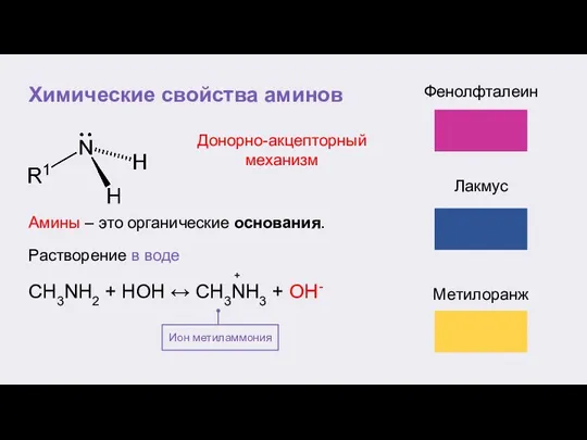 Химические свойства аминов Растворение в воде Ион метиламмония Амины – это