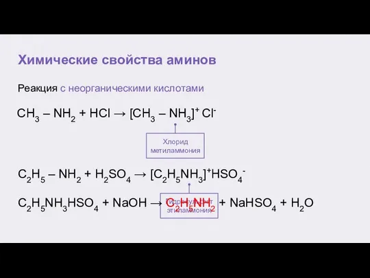 Химические свойства аминов Реакция с неорганическими кислотами Хлорид метиламмония Гидросульфат этиламмония