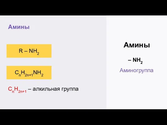 Амины R – NH2 Амины – NH2 Аминогруппа CnH2n+1NH2 CnH2n+1 – алкильная группа