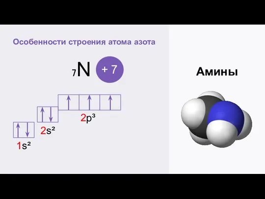 Особенности строения атома азота Амины