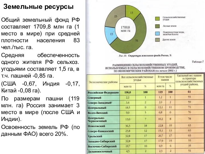 Земельные ресурсы Общий земельный фонд РФ составляет 1709,8 млн га (1