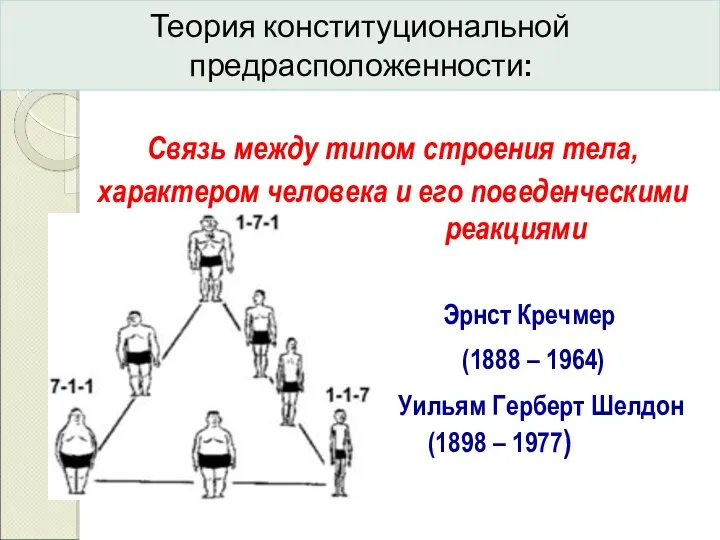 Теория конституциональной предрасположенности: Связь между типом строения тела, характером человека и