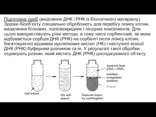 Підготовка проб (виділення ДНК і РНК із біологічного матеріалу). Зразки біооб’єкту