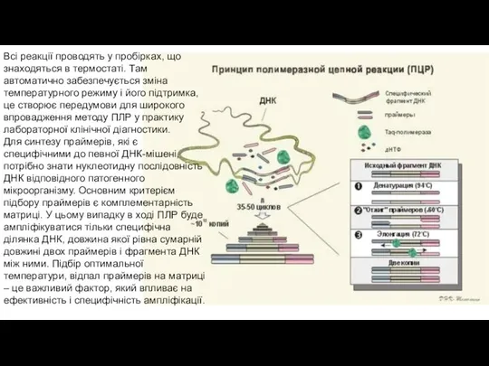 Всі реакції проводять у пробірках, що знаходяться в термостаті. Там автоматично