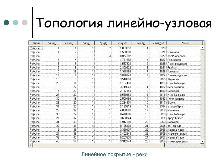 Топология линейно-узловая Линейное покрытие - реки