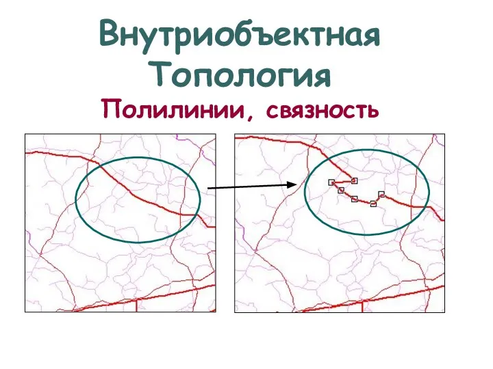 Внутриобъектная Топология Полилинии, связность