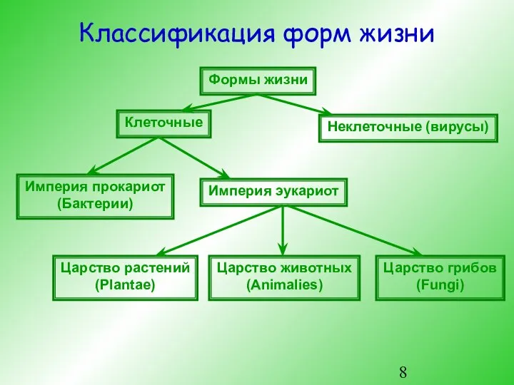 Классификация форм жизни Формы жизни Царство животных (Animalies) Империя эукариот Империя