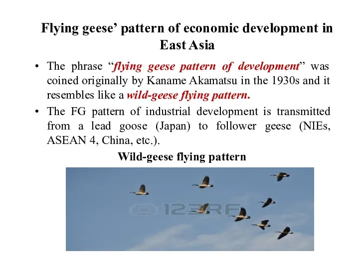 Flying geese’ pattern of economic development in East Asia The phrase