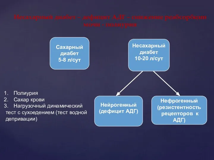 Несахарный диабет – дефицит АДГ – снижение реабсорбции мочи - полиурия