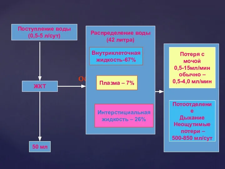 Обмен воды в норме Поступление воды (0,5-5 л/сут) Распределение воды (42