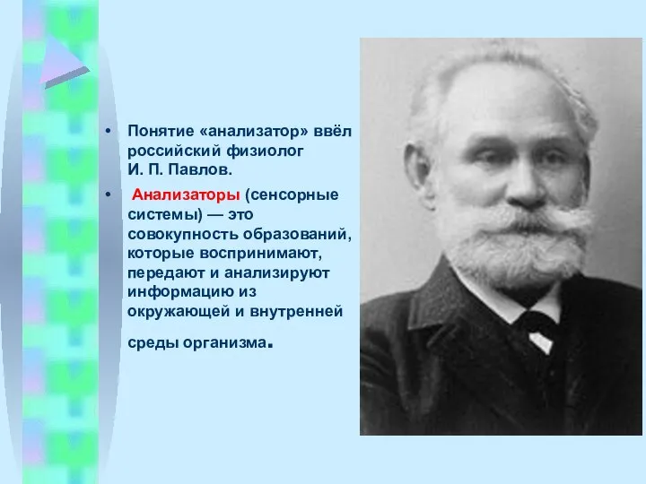 Понятие «анализатор» ввёл российский физиолог И. П. Павлов. Анализаторы (сенсорные системы)
