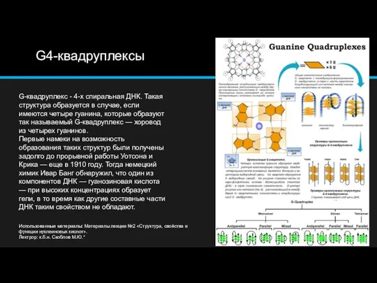 G4-квадруплексы G-квадруплекс - 4-х спиральная ДНК. Такая структура образуется в случае,