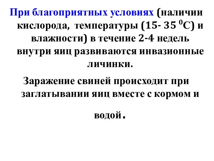 При благоприятных условиях (наличии кислорода, температуры (15- 35 0С) и влажности)