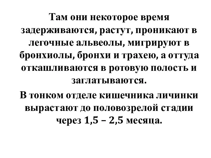 Там они некоторое время задерживаются, растут, проникают в легочные альвеолы, мигрируют