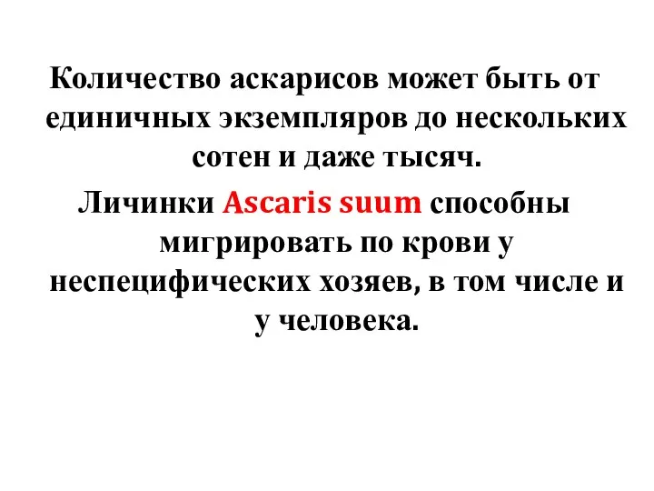 Количество аскарисов может быть от единичных экземпляров до нескольких сотен и