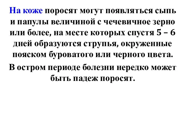 На коже поросят могут появляться сыпь и папулы величиной с чечевичное