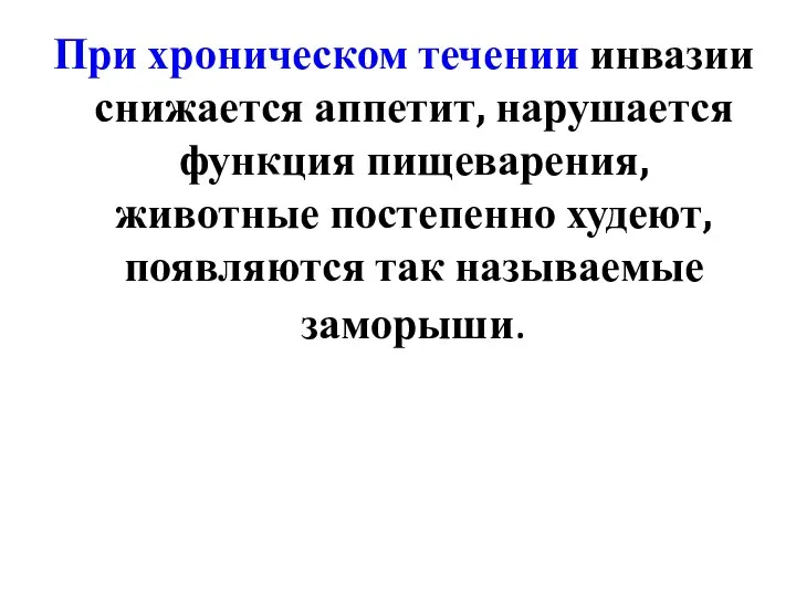 При хроническом течении инвазии снижается аппетит, нарушается функция пищеварения, животные постепенно худеют, появляются так называемые заморыши.