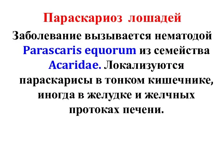 Параскариоз лошадей Заболевание вызывается нематодой Parascaris equorum из семейства Acaridae. Локализуются