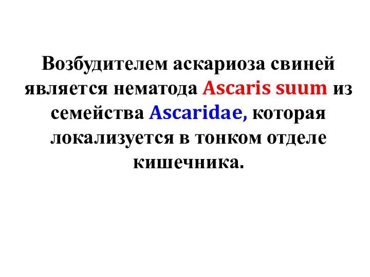 Возбудителем аскариоза свиней является нематода Ascaris suum из семейства Ascaridae, которая локализуется в тонком отделе кишечника.