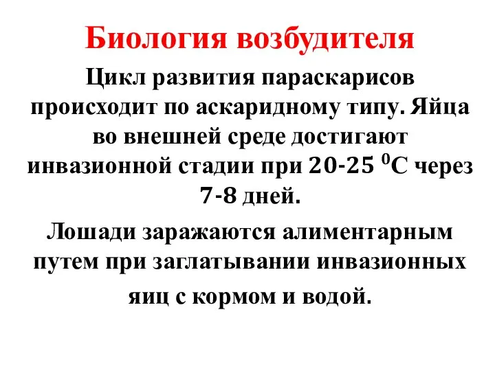 Биология возбудителя Цикл развития параскарисов происходит по аскаридному типу. Яйца во