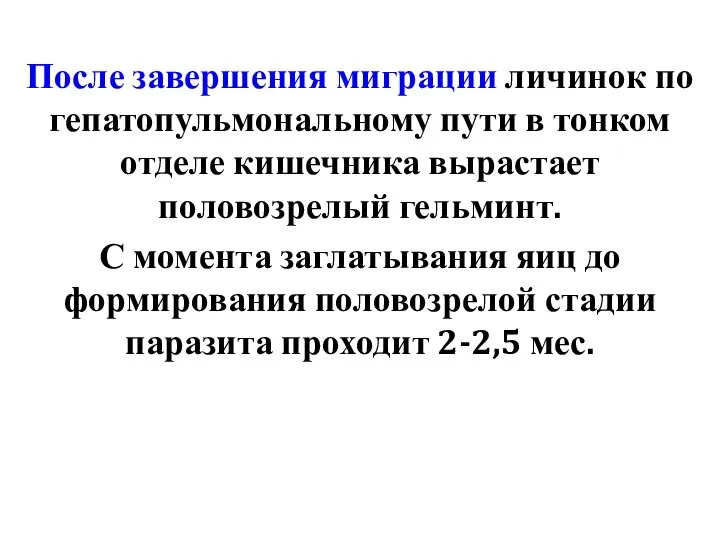 После завершения миграции личинок по гепатопульмональному пути в тонком отделе кишечника