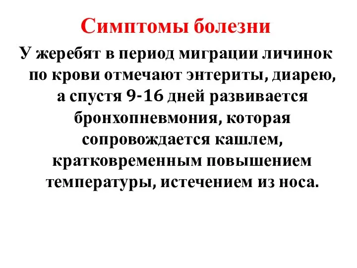 Симптомы болезни У жеребят в период миграции личинок по крови отмечают