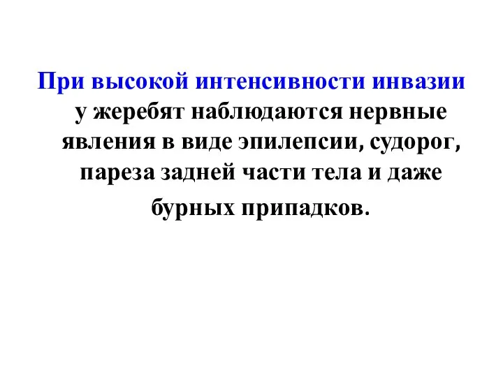 При высокой интенсивности инвазии у жеребят наблюдаются нервные явления в виде