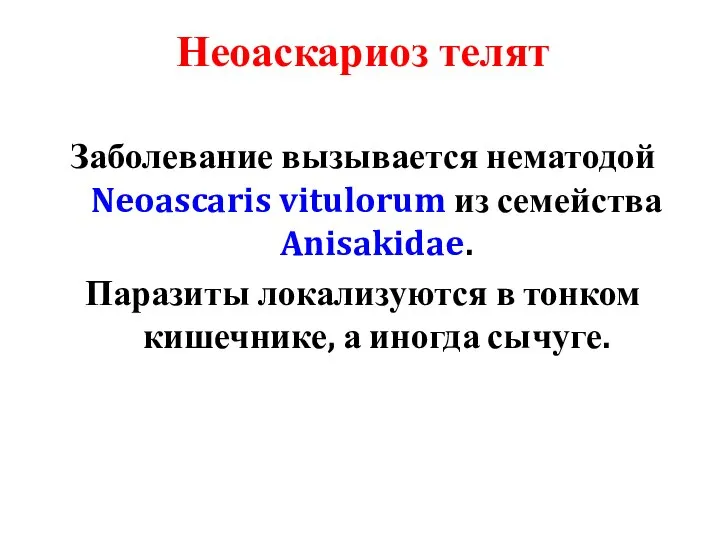 Неоаскариоз телят Заболевание вызывается нематодой Neoascaris vitulorum из семейства Anisakidae. Паразиты