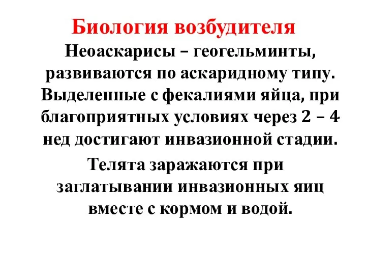 Биология возбудителя Неоаскарисы – геогельминты, развиваются по аскаридному типу. Выделенные с