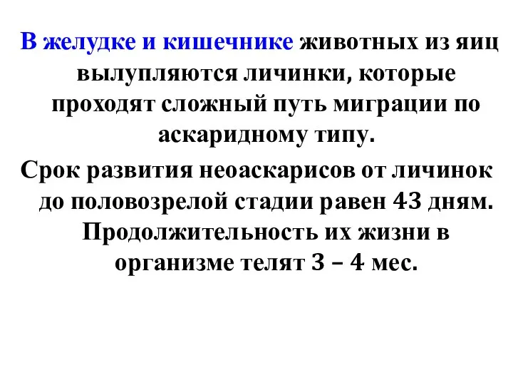 В желудке и кишечнике животных из яиц вылупляются личинки, которые проходят