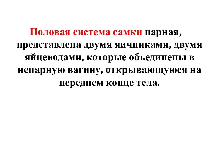 Половая система самки парная, представлена двумя яичниками, двумя яйцеводами, которые объединены