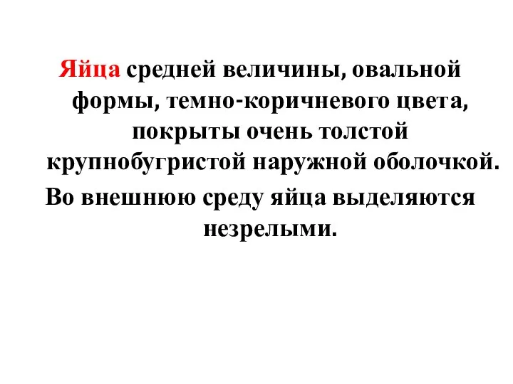 Яйца средней величины, овальной формы, темно-коричневого цвета, покрыты очень толстой крупнобугристой