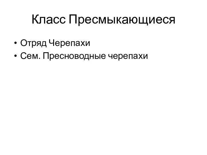 Класс Пресмыкающиеся Отряд Черепахи Сем. Пресноводные черепахи